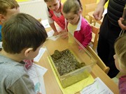 Přírodovědný program - Plazi a žáby